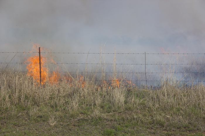 Fire swept through grassland near the south end of the Tallgrass Prairie Preserve during a prescribed burn on Saturday. Kyle Walker / Collegian