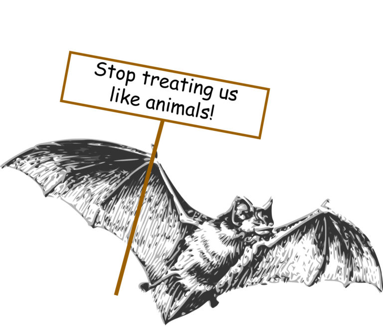 Batty new residents arrive on campus