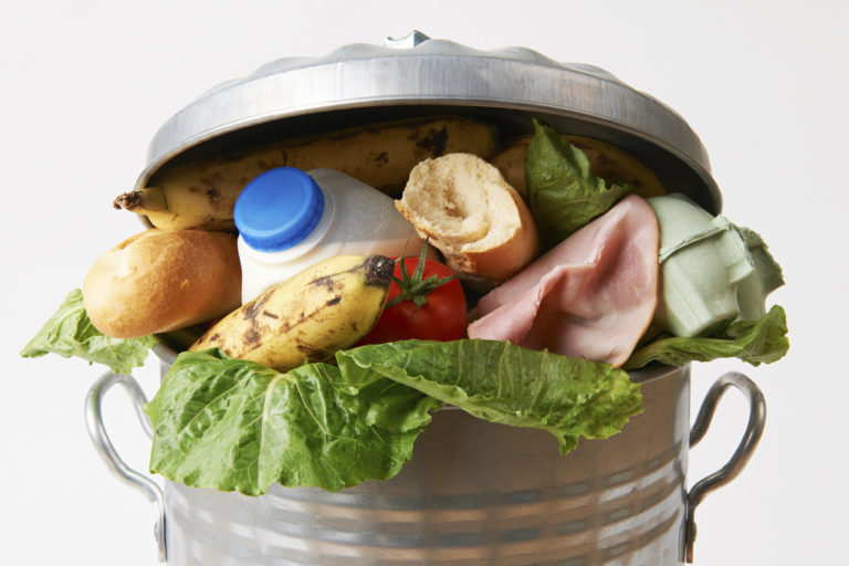 Dining Services moves towards sustainability