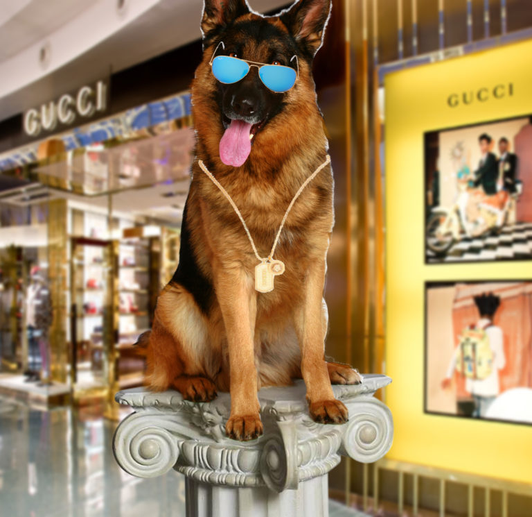 Are animals more important than humans?