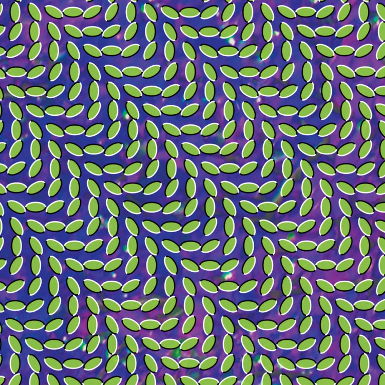 Animal Collective and the death of indie rock