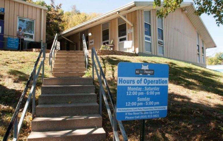 Tulsa Animal Welfare to possibly implement no-kill policy