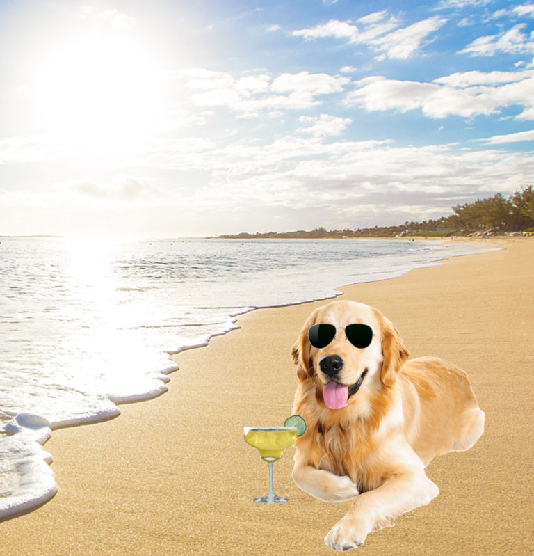 #3: Decrease semester length by removing reading days