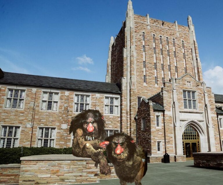 Hurricane Spotlight: here are the impious, rowdy trolls who guard McFarlin from COVID-19