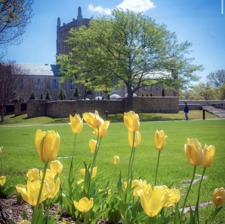 TU finals survival guide