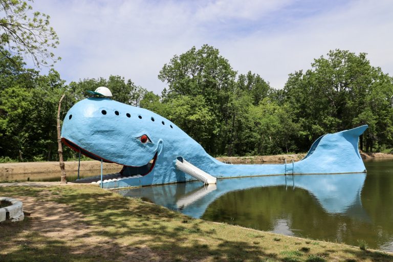 Catoosa changes the Blue Whale for constant revenues