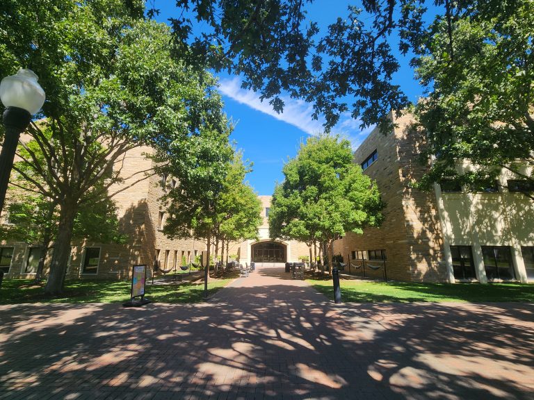 Senate debates constitution rewrite