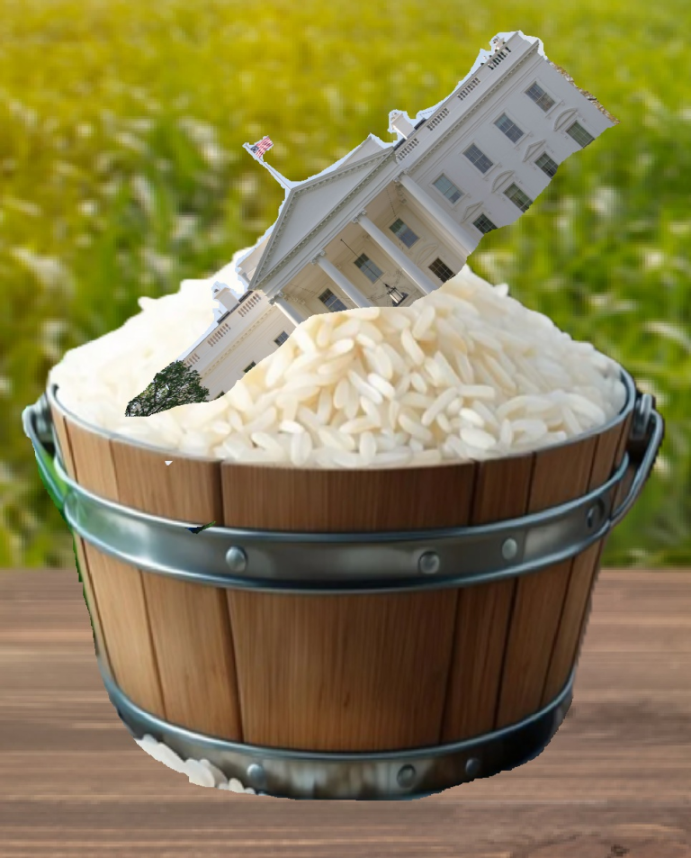 Democrats move to put government in rice after turning off, on again fails