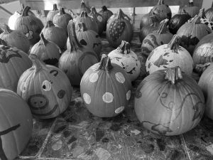 The Pumpkin Project: Spreading the joy of Halloween to homebound Tulsans